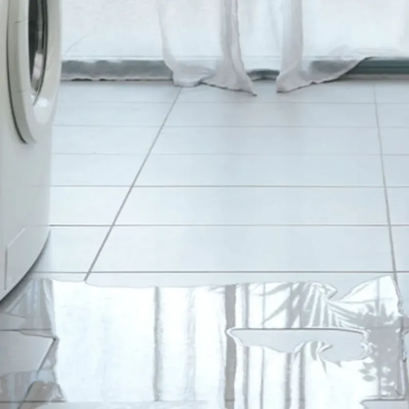 Appliance Leak Cleanup in South Rockwood, MI