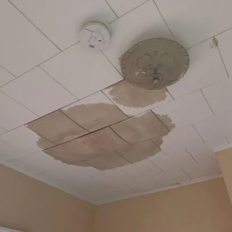 Ceiling Water Damage Repair in South Rockwood, MI