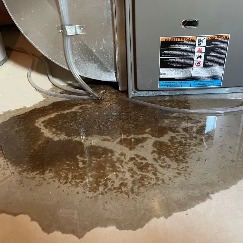 Pipe Burst and Leak Restoration in South Rockwood, MI