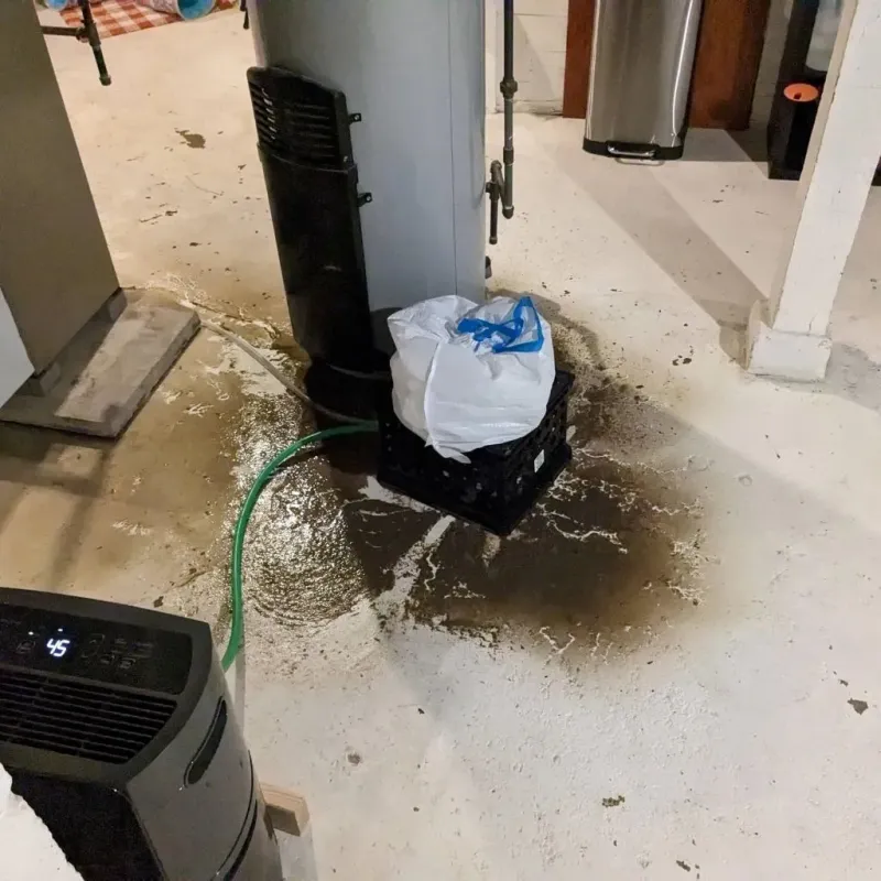 Sewage Backup Cleanup Service in South Rockwood, MI